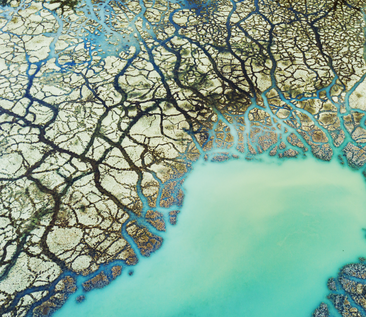 HydroTechTM hydrotreating